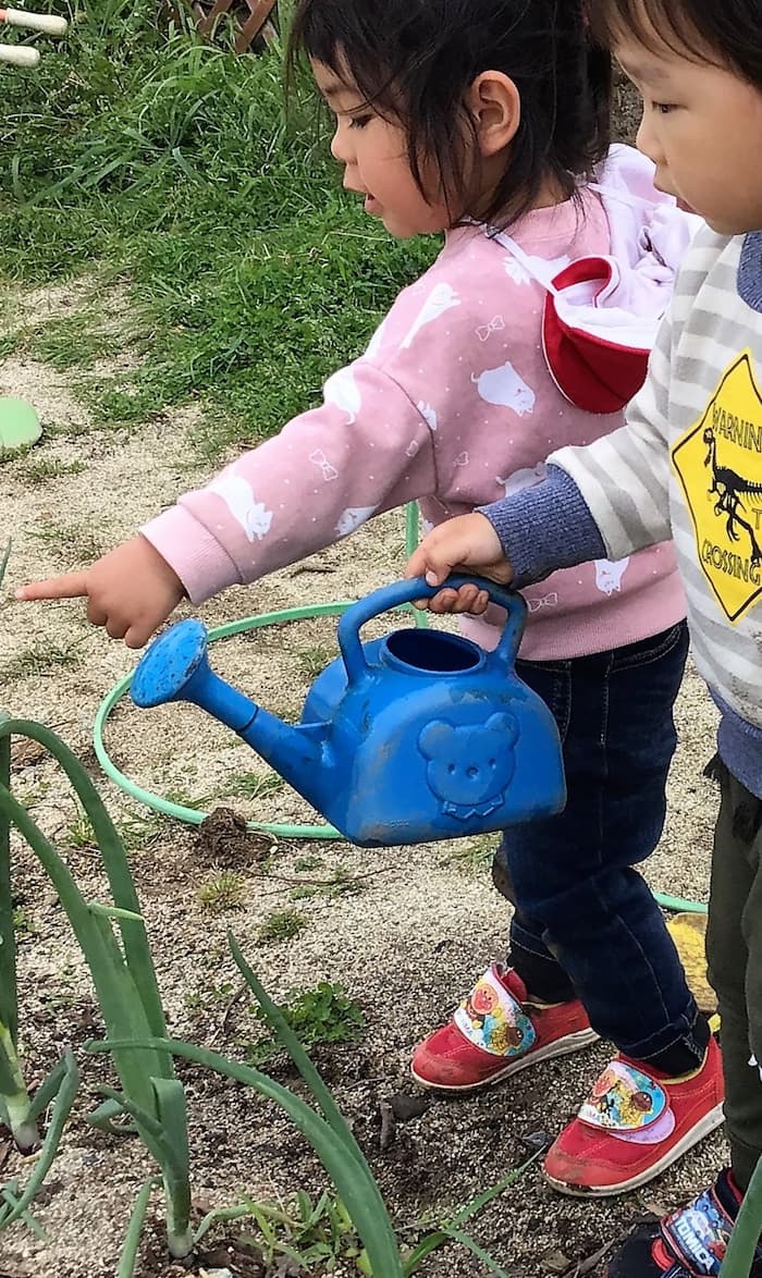 めぐみ幼稚園ねっこ写真2
