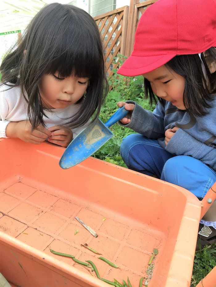 めぐみ幼稚園ねっこ写真6